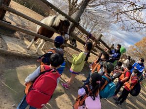 IMG_2178 | 株式会社ジャクパ | 幼児体育指導と英会話教室